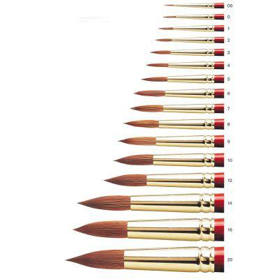 Sceptre Gold II Series 101 Brush Round